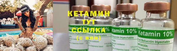 стаф Белокуриха