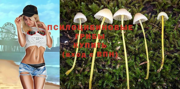 спиды Слюдянка