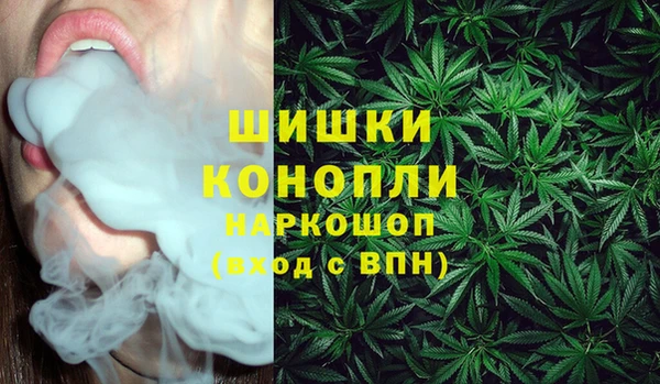 стаф Белокуриха