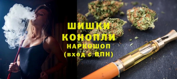 стаф Белокуриха