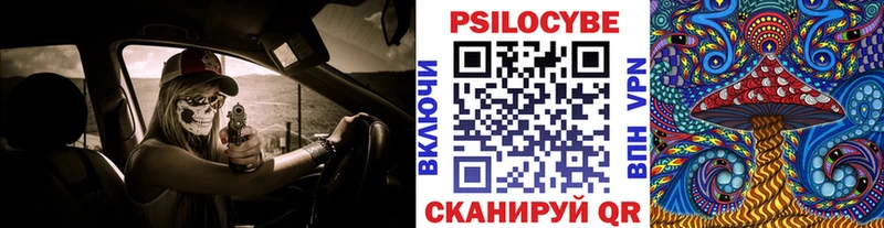 Псилоцибиновые грибы Psilocybe  Мончегорск 